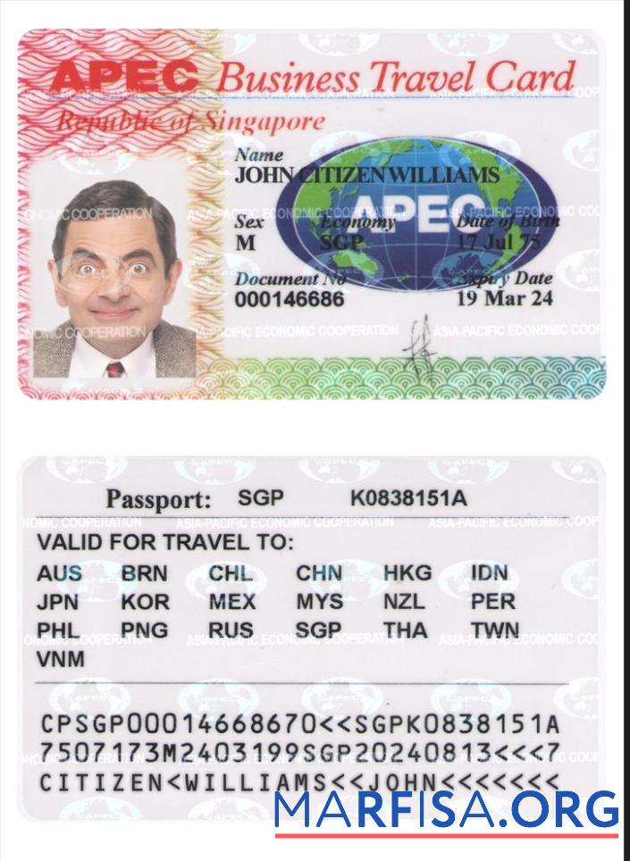 Printable Singapore business travel card download for verification